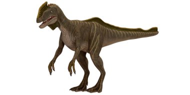 Beyaz arka planda gerçekçi dinozor çizimi