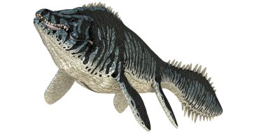 Tarih öncesi deniz sürüngeni çizimi