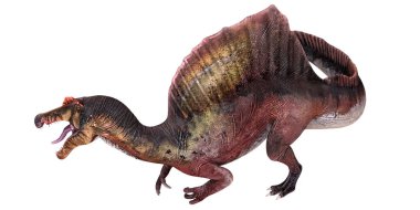 Beyaz arka planda vahşi Spinosaurus dinozoru