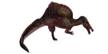 Büyük yelkenli omurgalı dinozor yaratık.