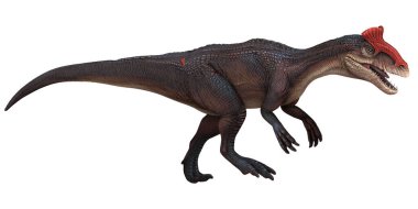 Renkli dinozor, kendine özgü bir baş arması var..