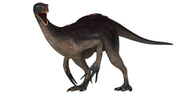 Keskin pençeleri ve uzun kuyruğu olan dinozor modeli.