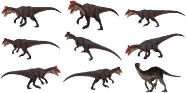 Çeşitli pozlarda dinozor modelleri.