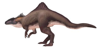 Bir Spinosaurus dinozorunun detaylı çizimi