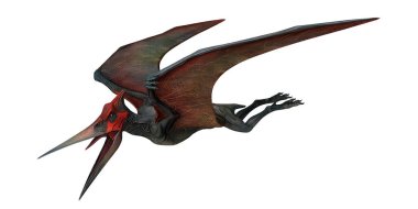 Yükselen bir Pterosaur 'un gerçekçi tasviri.