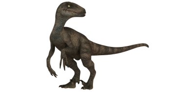 Gerçekçi Velociraptor dinozor çizimi
