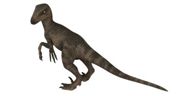 Gerçekçi Velociraptor dinozor çizimi