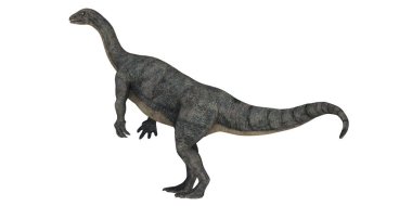 Digital rendering of a Plateosaurus dinosaur