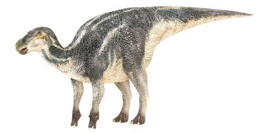 Hadrosaurus dinozorunun gerçekçi çizimi.