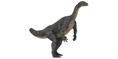 Ayakta duran dinozor türünün tasviri.