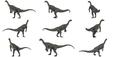 Çeşitli Pozisyonlarda Bir Dinozorun 3B Hazırlaması