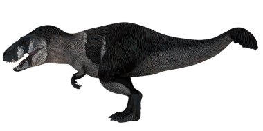 Bir Tyrannosaurus rex 'in gerçekçi çizimi