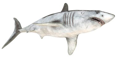 Realistic rendering of a great white shark swimming.