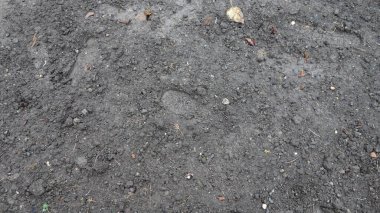 Nemli, desenli toprak yüzeyinde ayak izi
