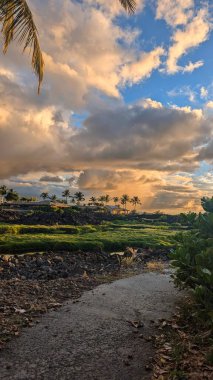 Günbatımında tropikal manzara.