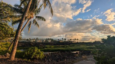 Palmiye ağaçlarıyla kayalık kıyı şeridinde tropik gün batımı.