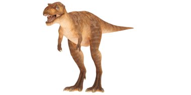 Bir Tyrannosaurus Rex 'in gerçekçi 3D canlandırması.