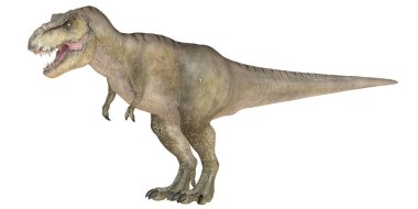 Beyaz arka planda duran gerçekçi dinozor