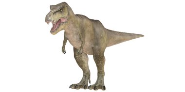 Bir Tyrannosaurus Rex 'in gerçekçi 3D canlandırması.