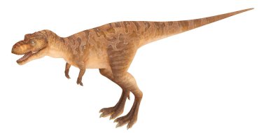 Gerçekçi Tyrannosaurus Rex çizimi