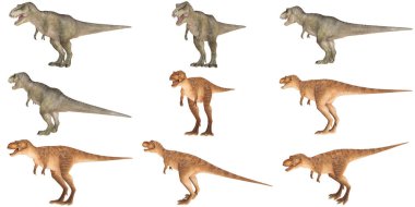 Çeşitli Tyrannosaurus rex modellerinin koleksiyonu.
