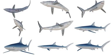 Beyaz arka planda çeşitli köpek balığı heykelciklerinin koleksiyonu