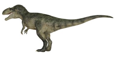 Beyaz arka planda gerçekçi dinozor çizimi