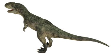 Tyrannosaurus rex dinamik bir duruşta