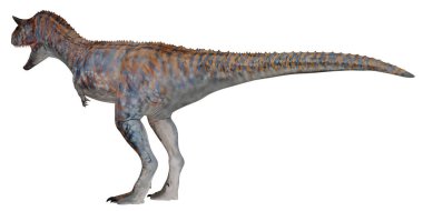 Bir Carnotaurus dinozorunun üç boyutlu detaylı canlandırması.