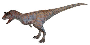 Detailed illustration of a Carnotaurus dinosaur.