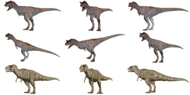 Farklı pozlarda gösterilen çeşitli dinozor modelleri.