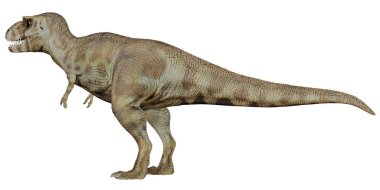 Gerçekçi T. Rex dinozor çizimi.