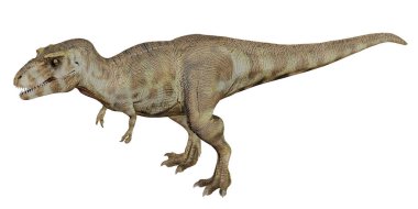 Gerçekçi Tyrannosaurus rex modeli çizimi
