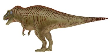 Bir Tyrannosaurus Rex dinozorunun tasviri