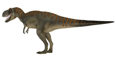 Canlı çizgileri olan gerçekçi dinozor çizimleri.