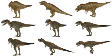 Canlandırılmış poz ve açılarda çeşitli dinozorlar