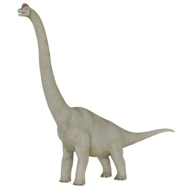 Bir Apatosaurus dinozorunun gerçekçi modeli