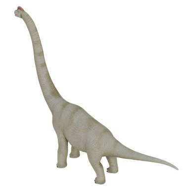 Tarafsız ışıkta Brachiosaurus dinazorunun modeli.