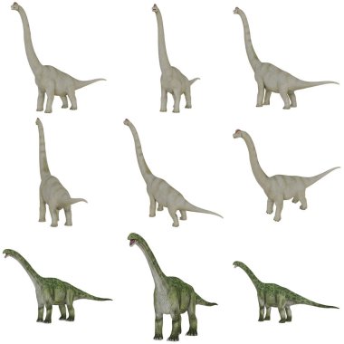 Beyaz arka planda çeşitli dinozor modelleri