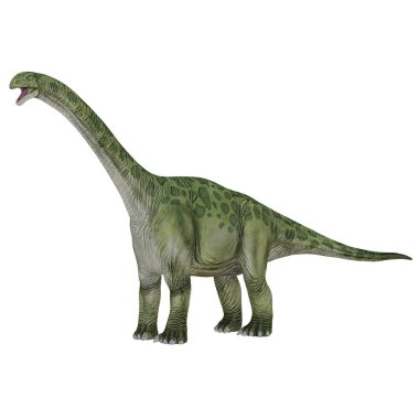 Bir Brachiosaurus dinozorunun gerçekçi çizimi.