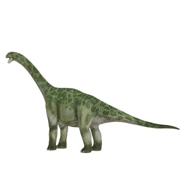Yeşil bir Sauropod dinozorunun gerçekçi çizimi