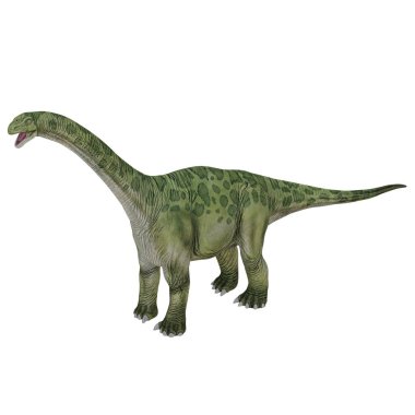 Beyaz arkaplanda yeşil bir Brachiosaurus
