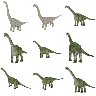 Gerçekçi dinozor modelleri koleksiyonu