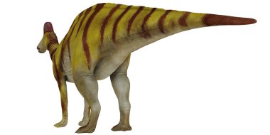 Parasaurolophus dinazorunun gerçekçi modeli.
