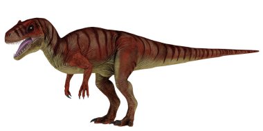 T-Rex dinozorunun gerçekçi tasviri..