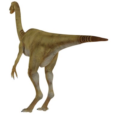 Bir Therizinosaurus dinozorunun tasviri