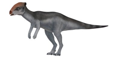 Beyaz arka planda bir dinozorun gerçekçi çizimi.