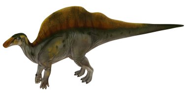 Uzun kuyruklu ve ördek gagalı bir dinozor tasviri.