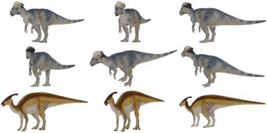 Çeşitli dinozorların farklı pozlardaki resimleri..