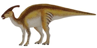 Parasaurolophus dinazorunun gerçekçi modeli.